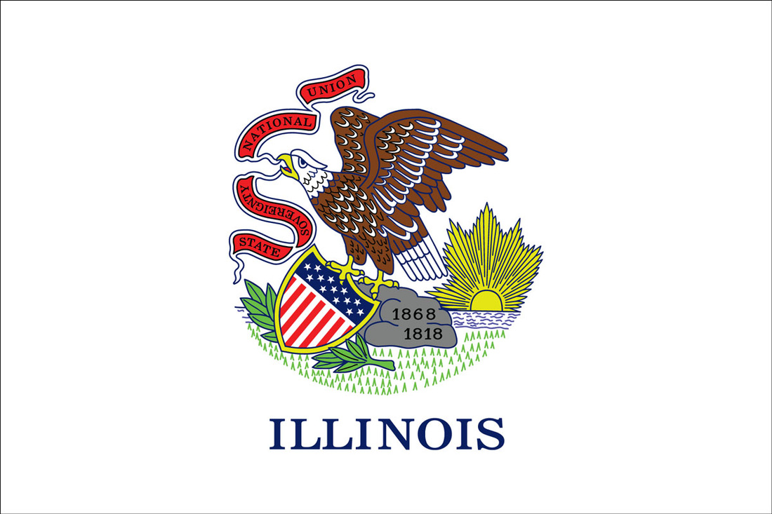 Illinois flag for sale, flagpole for sale, flagpole service, flagpole installation, texas flagpole service