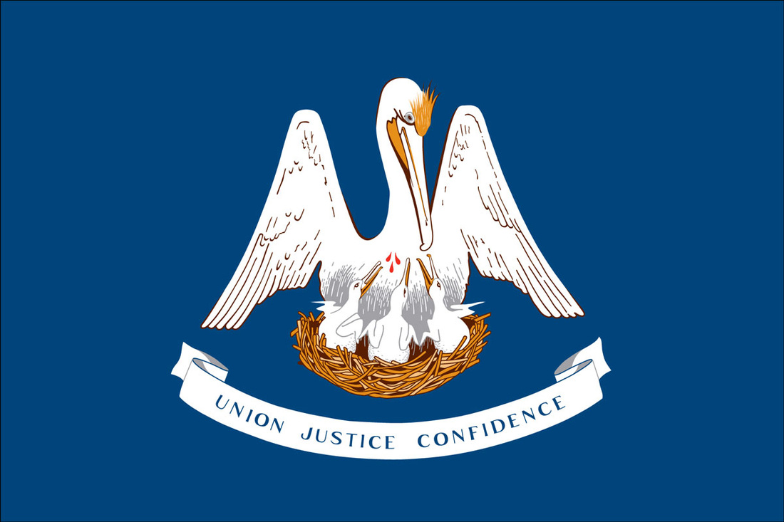 Louisiana flag for sale, flagpole installation, flagpole for sale, flagpole service Texas flagpole for sale, US flag, US flags