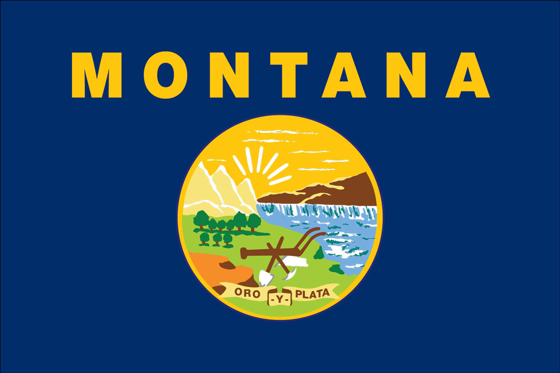 Montana flag for sale, Texas flagpole for sale, monster flag