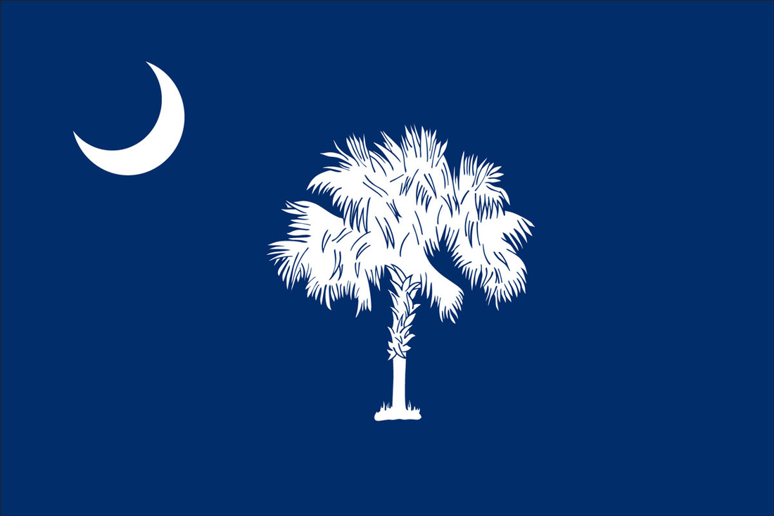 South Carolina flag for sale, US flag for sale, American flag for sale, commercial flagpoles for sale, custom flags for sale