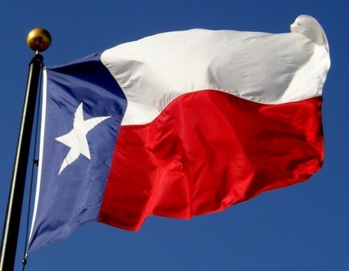 texas flag polyester for sale flagpole for sale texas flagpole installation texas flagpole service